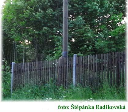 hnízdní podložku. Čápi v této obci původně hnízdili na komíně.