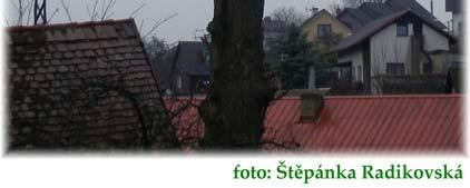 Následně na původní místo připevnil věnec, upletený z dubových