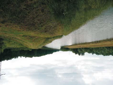 9 pohled na tok øeky Moravy v øešeném úseku vodní cesty