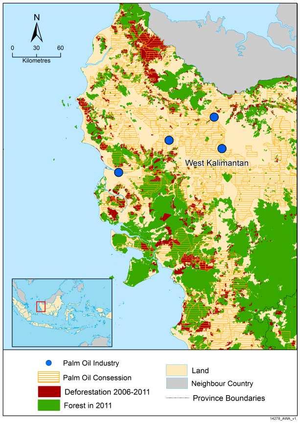 vlivem Plánu Deforestace