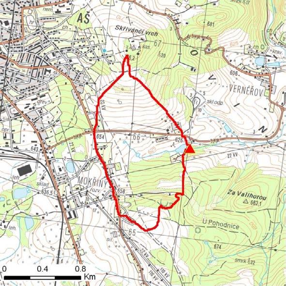 KONEČNÁ VERZE výstupy kompletního projektu ID plochy: 698270_1 Mokřiny : Obec: Aš ORP: Aš Souřadnice GPS (ve stupních): N 50.213365 E 12.