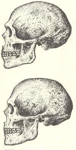 Obr. 43.