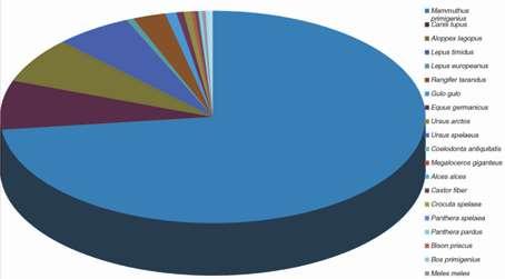 ks % MNI % kj Mammuthus primigenius > 1000 72,05 2,322 10 Canis lupus 4143 43,22 103 7,42 24 359 500 Aloppex lagopus 2250 23,47 96 6,92 337 152 Lepus timidus 860 8,97 79 5.