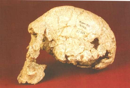 kultura západní civilizace vyrůstala na náboženském základě křesťanství, což je další výrazný prvek, omezující naše schopnosti pohledu zpět. Kolik lidí se v předminulém století dívalo na Ch.
