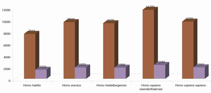 neandertálců, pokud k tomu všemu ještě srovnáme průměrné hodnoty moderního muţe a neandertálské ţeny, zjistíme, ţe šance neandertálců vyrovnat se s nově příchozím příbuzným do Graf 2.