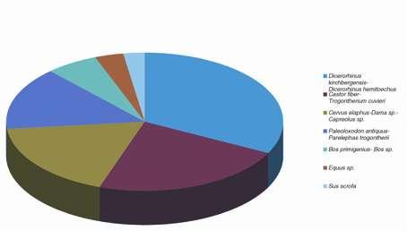 ks % MNI kj Panthera (Leo) spelea 3 17,65 1 903 000 Canis lupus 1 5,88 1 236 500 Felis silvestris 1 5,88 1 34 400 Vulpes sp., Meles sp. 12 70,59 1 25 800 Σ 17 100 4 1 199 700 Tab. 6.