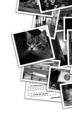 Fotka z klasické fotobanky vás bude stát řádově stovky až tisíce korun, fotky zlých paparazzi i deseti- nebo statisíce.