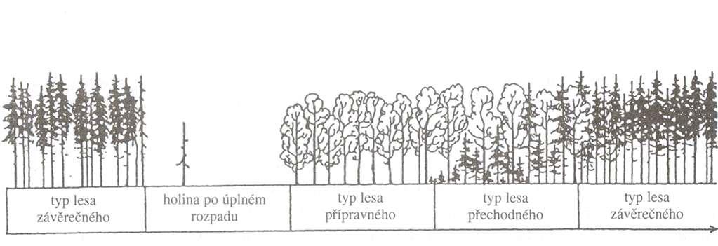 Velký vývojový cyklus Procesy: disturbance kolonizace