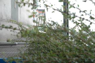 Kapitola Úvod V dnešní době existuje v elektronické podobě mnoho informací a zároveň také několik způsobů jejich vyhledávání.