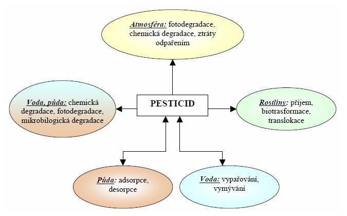 Obrázek 15: Osud pesticidů po aplikaci 40 3.4.1 Způsoby transformace Po aplikaci jsou pesticidy vystaveny řadě vlivů, které mohou vést k jejich změně na různé transformační produkty.
