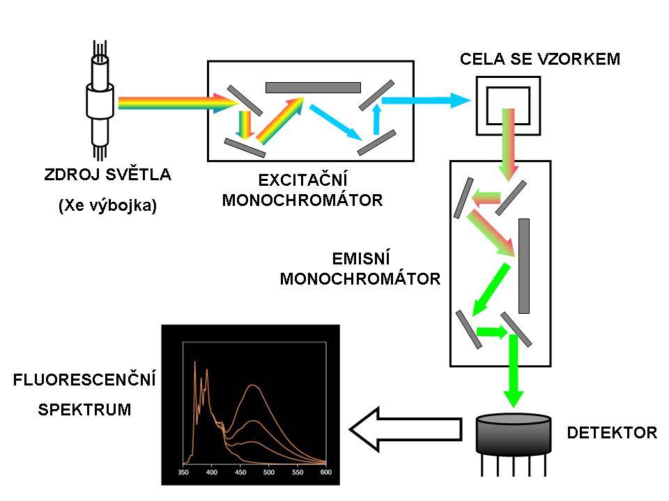 br. 6: Schéma spektrofluorimetru V ideálním případě by komponenty spektrofluorimetru měly mít následující charakteristiky: zdroj světla by měl poskytovat konstantní počet fotonů při všech vlnových
