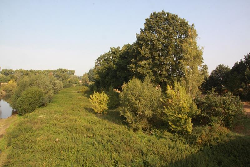 Příloha č.