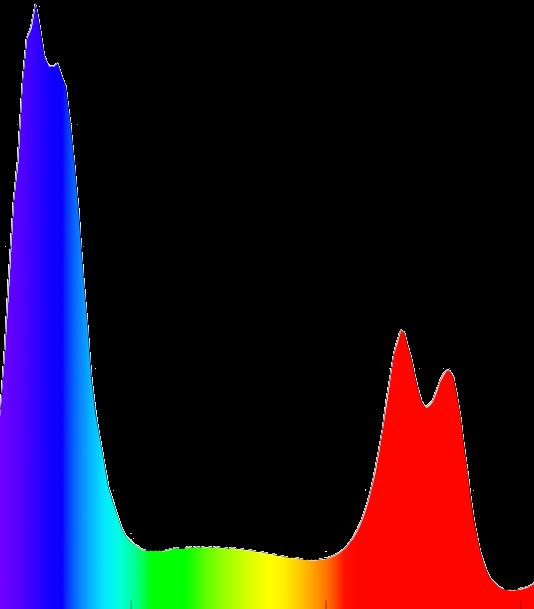 (%) 100 Akční spektrum fotosyntézy (PAR) 90 80 Rozmezí světelného spektra (400 700 nm), které je rostlina schopna vstřebávat díky listům.