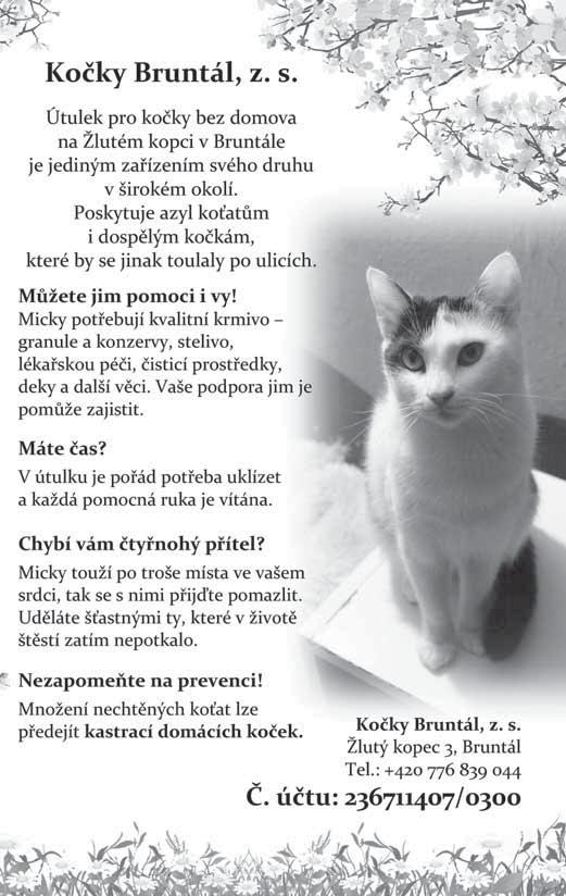 Díky v sledkûm v badatelské ãinnosti byly spolu se zástupci tfiiceti dal ích kol pozvány oba na- e t my, jmenovitû Katefiina Bartozelová, Petr Oli, Miroslav Loukota, David Marek a Jan RepáÀ s prací
