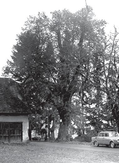 hornictví, lesnictví, rozvoj prûmyslu vãetnû textilního, nûkolikerá kolonizace zdej ího kraje ãesk mi i nûmeck mi osadníky, ale i ãarodûjnické procesy.