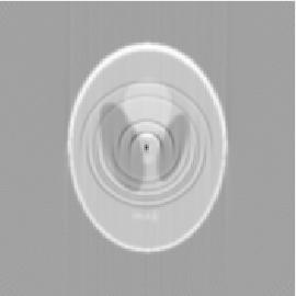4: Simulace Kruhového artefaktu - manuálně, a) První artefakt, b) Druhý artefakt Simulace aliasing artefaktu Aliasing artefakt si můžeme vyzkoušet opět dvojím způsobem a to volbou počtu detektorů