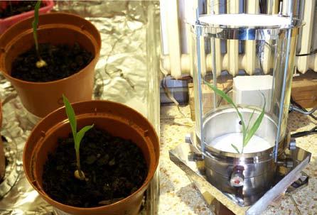 REAL-TIME SIFT-MS DETECTION OF VOLATILE FORMS OF SELENIUM RELEASED BY PLANTS Mgr. Kristýna Sovová RNDr. Patrik Španěl Dr. rer. nat.