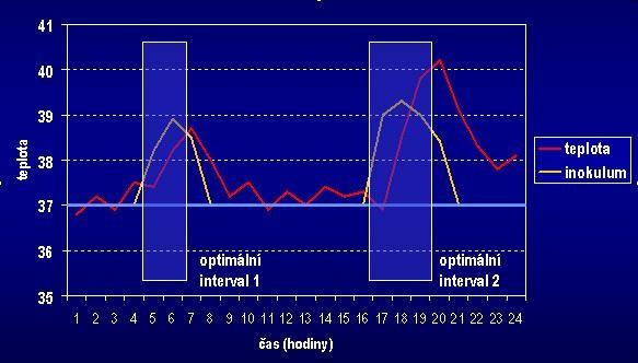 Optimální načasování odběru hemokultur intermitentní