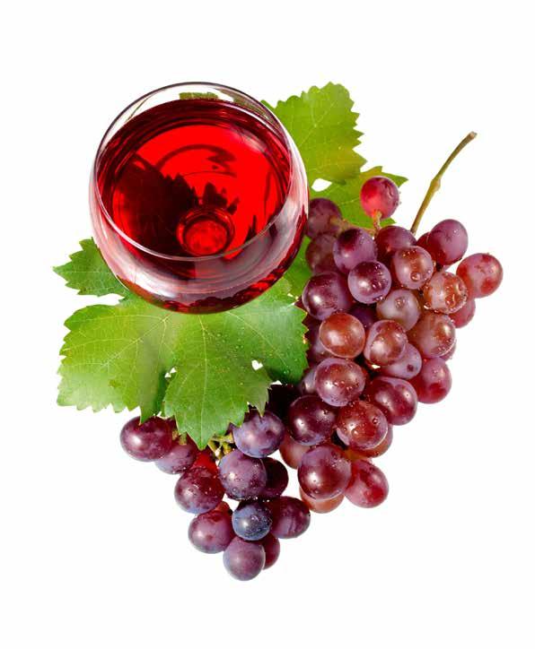 ŠUMIVÉ VÍNO SPARKLING WINES SCHAUMWEINE Moravský sekt Demi Sec 0,1 l 70 CZK 0,75 l 395 CZK Moravský sekt Brut 0,1 l 70 CZK 0,75 l 395 CZK Prosecco DOC Extra Dry 0,1 l 70 CZK 0,75 l 395 CZK Prosecco