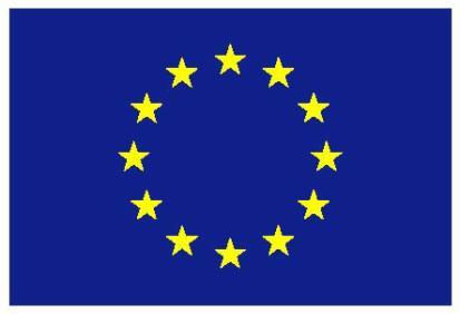 Evropská unie Spolufinancováno z Prioritní osy 8 Technická pomoc financovaná z Fondu soudržnosti Ministerstvo