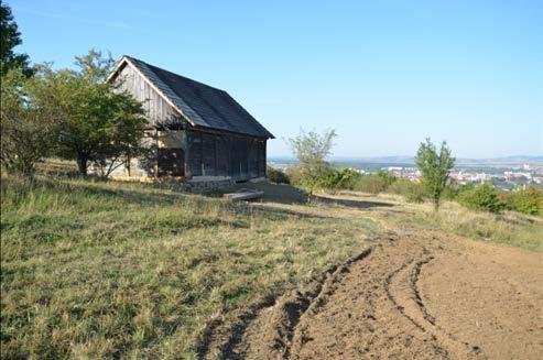 dy), založení sp