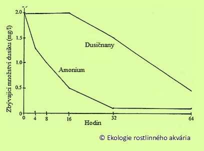Mnoho vodních rostlin dává přednost příjmu NH 4+ před dusičnany: např.