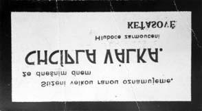 100 LET REPUBLIKY 100 LET REPUBLIKY Takové všední pondělí Celý rok probíhá ve znamení oslav 100. výročí vzniku sa - mostatného Československa.