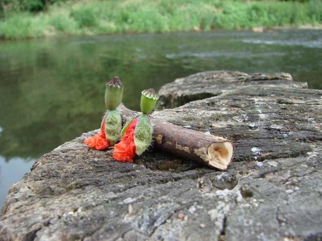 3 Aktivity v rámci Dunajského environmentálního fóra 3.1 Mladí tvůrci pro Dunaj Na jaře roku 2008, na Den Země, který se připomíná 22.