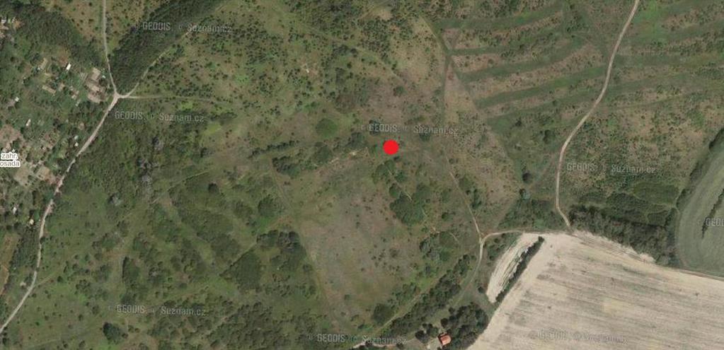br.4: Místo nálezu hnízda (GPS: 49.