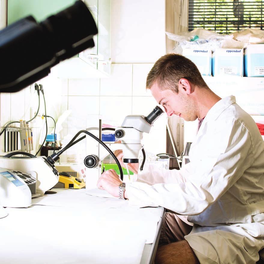 12 Přehled studijních možností Bakalářské studium Program: Bioinformatika Program: Biologie Obor: Biologie Obor: Ekologická a evoluční biologie Dvouobor: Biologie a geografie se zaměřením na