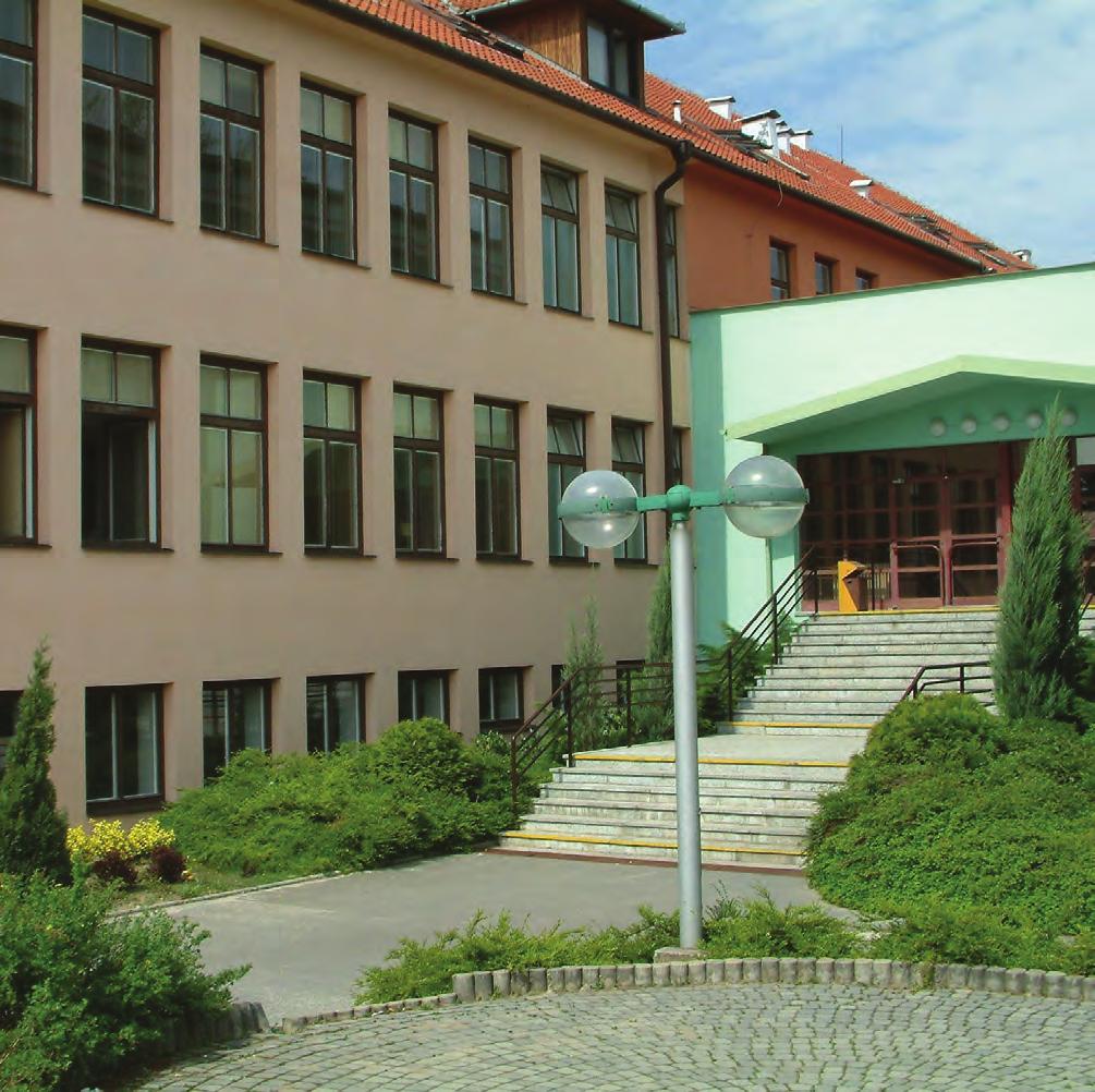 vzdělávání (dnes