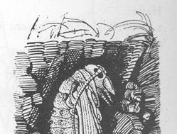 TYPY KUKEL HOLOMETABOLA Hintonův systém m (1946) PUPA DECTICA (kukla kousací) ) (a,( b, c) c - mandibuly sklerotizované,, artikulované, pohyblivé,, k pohybu