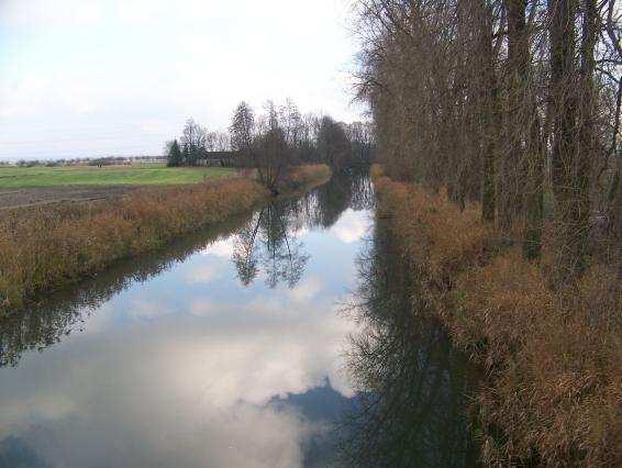 Charakter toku Loučné nad přemostěním komunikace (Dašice Komárov, D.Roveň).