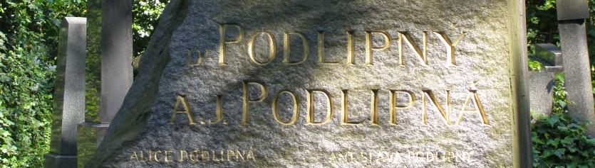 rodiny