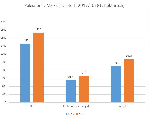 Zalesnění v