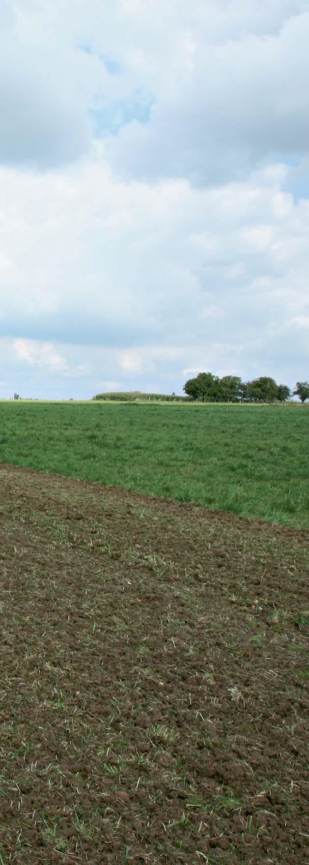 EL 122 162 282 INTENZIVNÍ ZPRACOVÁNÍ PŮDY PRO LEPŠÍ VÝSLEDKY V TĚŽKÝCH PŮDÁCH Vytvořit správně utužené seťové lůžko,