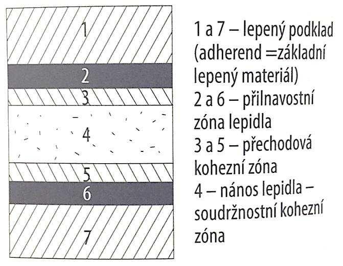 Obr. 2 Struktura lepeného spoje (Tesařová, 214) 3.3. Vytvrzování lepidel Vytvrzování lepidel může probíhat několika procesy, a to chemicky nebo fyzikálně.