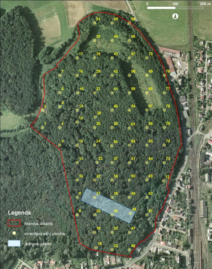 Obrazové přílohy Libický luh Havrany monitoring lokality ponechané samovolnému vývoji obr.