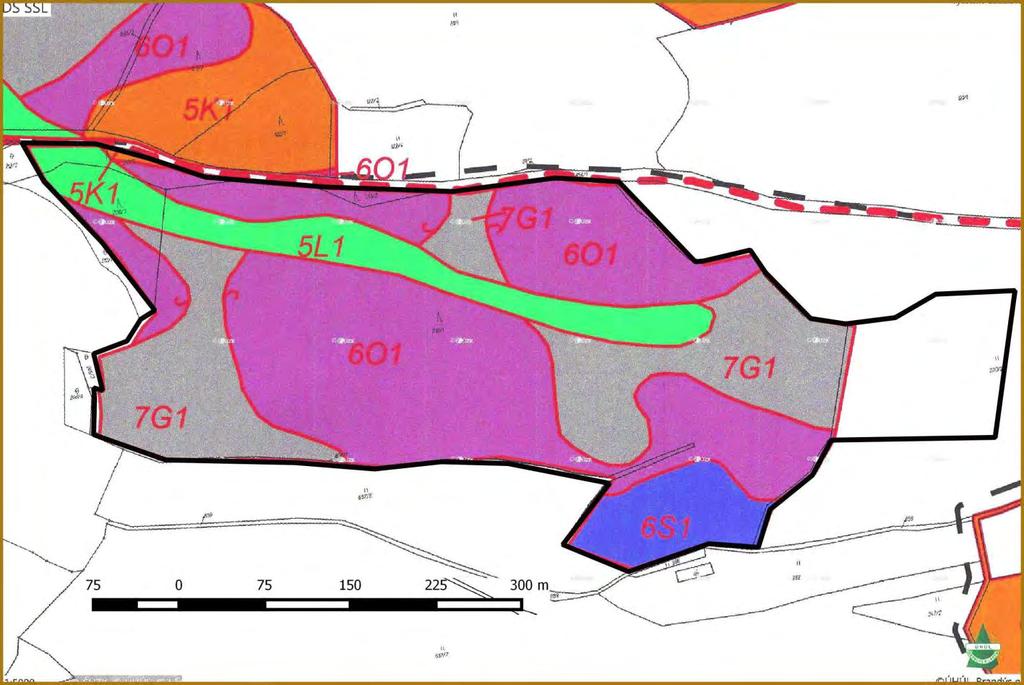 Příloha M4: Lesnická mapa typologická Legenda 5K1 kyselá jedlová bučina metlicová 6S svěží smrková bučina šťavelová 5L1