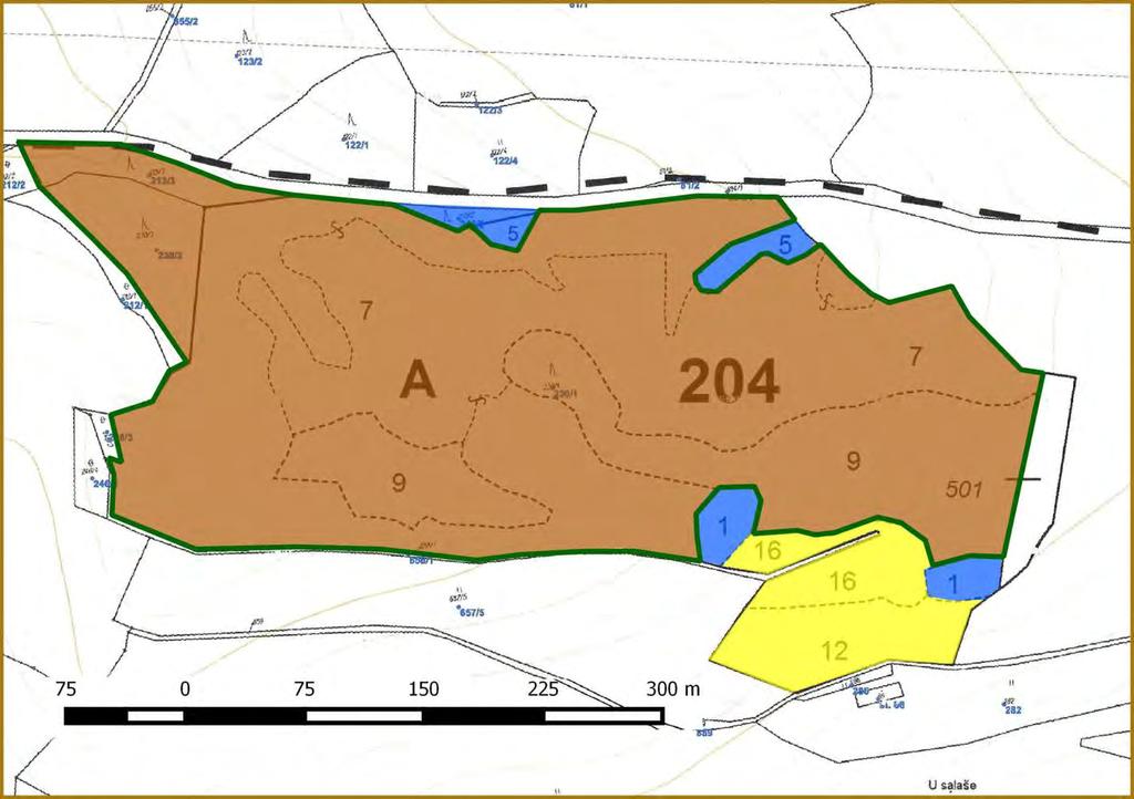 Příloha M5: Mapa stupňů přirozenosti lesních porostů Legenda: 1. les původní 2. les přírodní 3. les přírodě blízký 4. les kulturní 5.