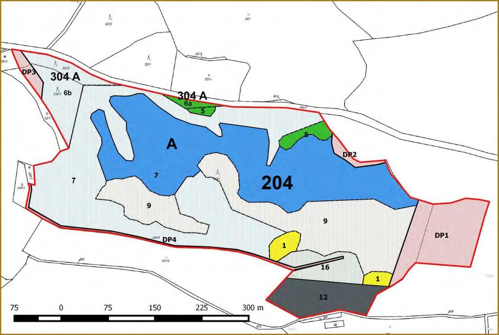 Příloha M6: Lesnická mapa porostní Legenda: věková třída holina I II III IV V VI VII VIII+ věkové rozpětí 0 1-20 21-40 41-60 61-80 81-100 101-120 121-140 141+