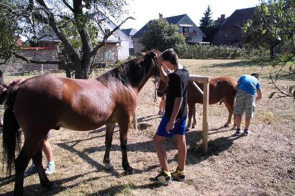 Za to jim patří velký dík :) Foto : Děti z SVP při hřebelcování Montyho a Kuby. 7. září / Hradec Králové / 12.