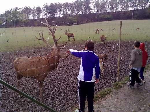 října / Toulovcovy maštale / Foto : Zapalování svíček u památníku Milady Horákové.