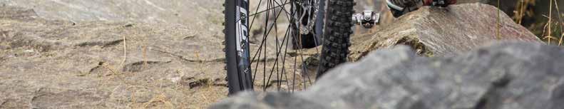 Racing Ralph Performance RITCHEY SELLE ITALIA X1 VELIKOST / SIZE 17" / 19" / 21" 11,3 kg CARBON HIGH MODULUS FRAME 29 FRONT FORK REBA 100 MM SPEED UP RACE RÁM / FRAME Carbon Hardtail High Modulus 29"