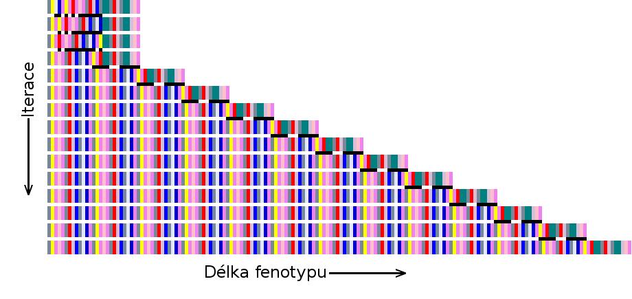 Obrázek 4.1: Zvětšování délky fenotypu během iterací podle [4] Tabulka 4.