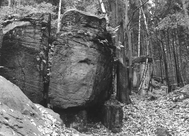 9: Výchozy cenomanských pískovců s odkloněnými skalními bloky na levém svahu údolí Dřevíče