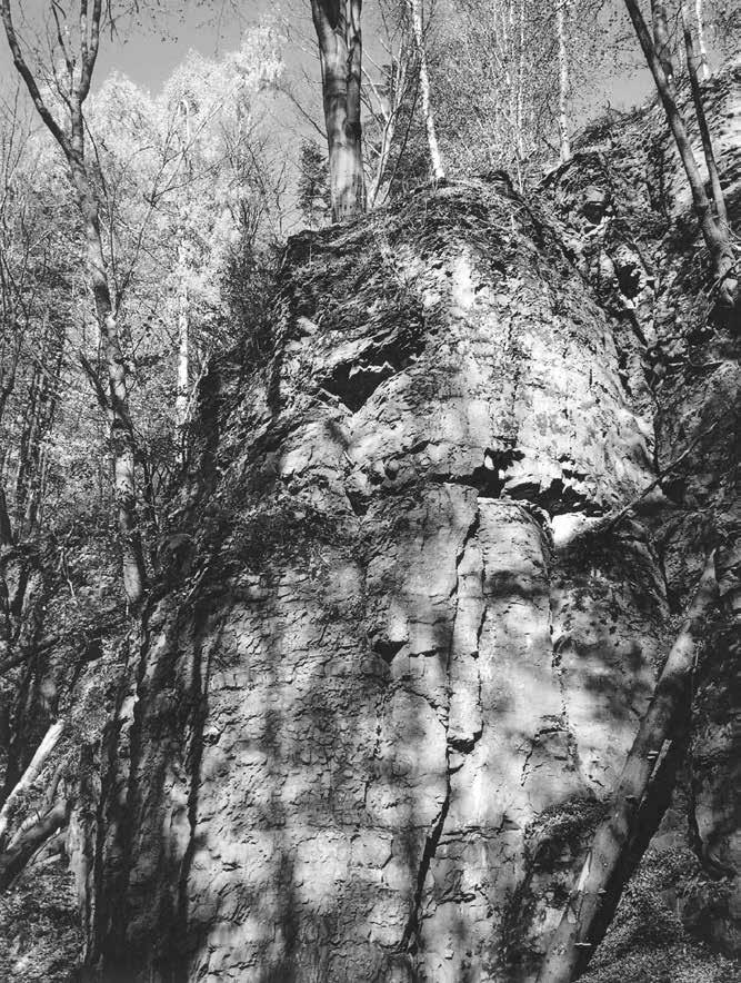 Obr. 14: Slínovcový skalní výchoz odlučná plocha gravitační rozsedliny na Vysokém kameni u Stárkova.