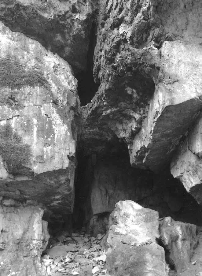 Obr. 15: Malá jeskyně v cenomanských pískovcích pod Horním Dřevíčem. Foto obr. 8 15 J. Vítek. Fig.