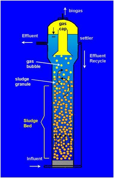 EGSB reaktor (Expanded Granular Sludge Bed)