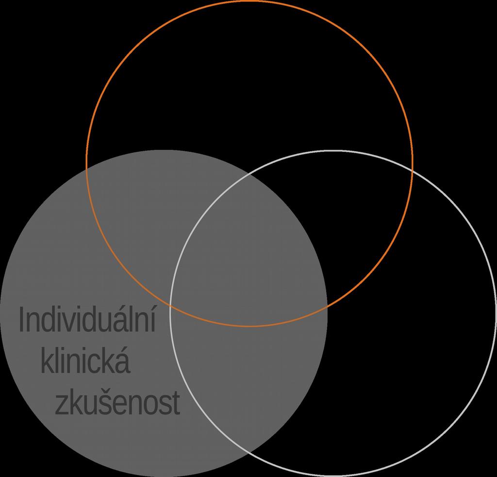 INDIVIDUÁLNÍ